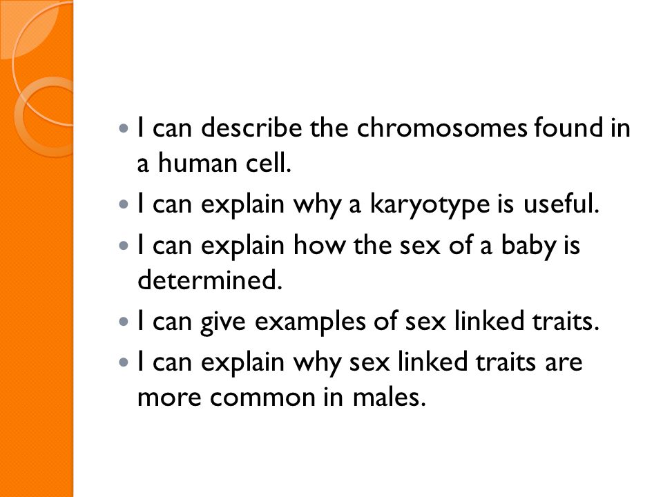 Human Heredity Note Expectations Cell Phones And Electronics 3 I