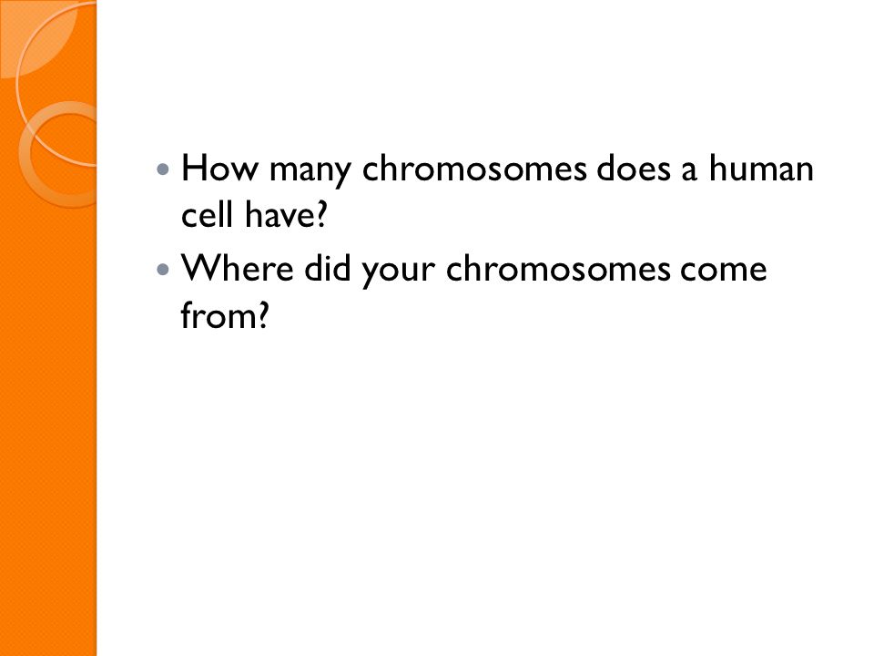 Human Heredity Note Expectations Cell Phones And Electronics 4 How Many Chromosomes Does A Human Cell Have Where Did Your Come From