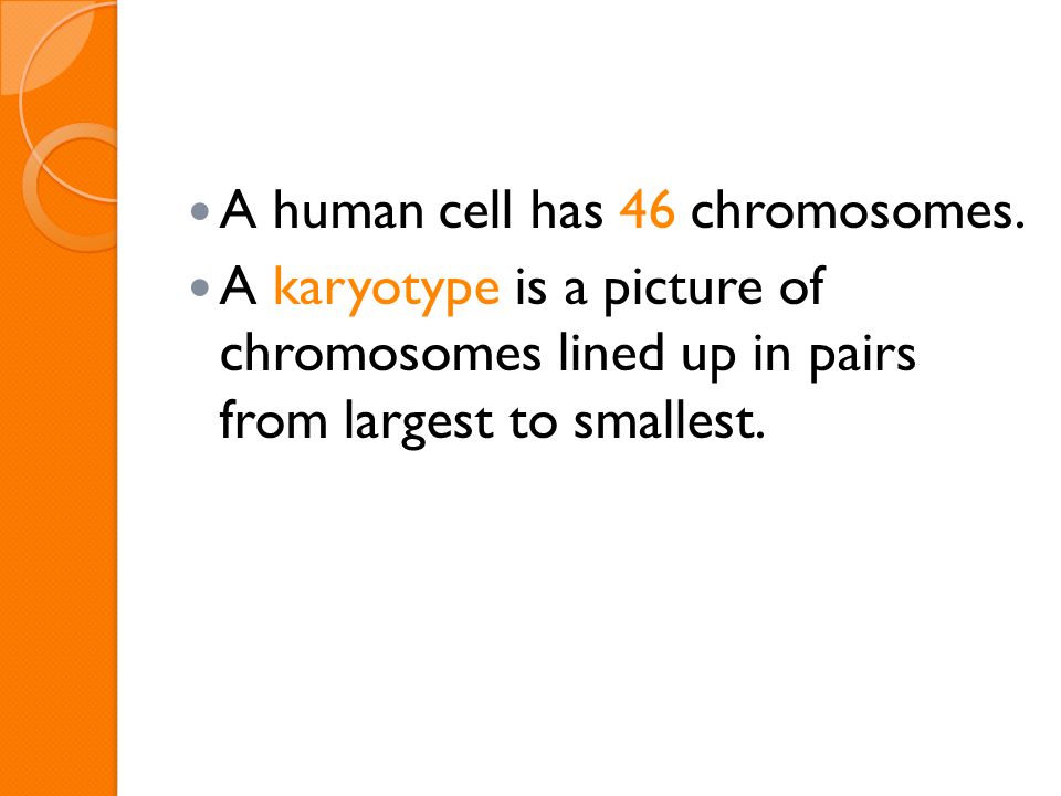 Human Heredity Note Expectations Cell Phones And Electronics 5 A