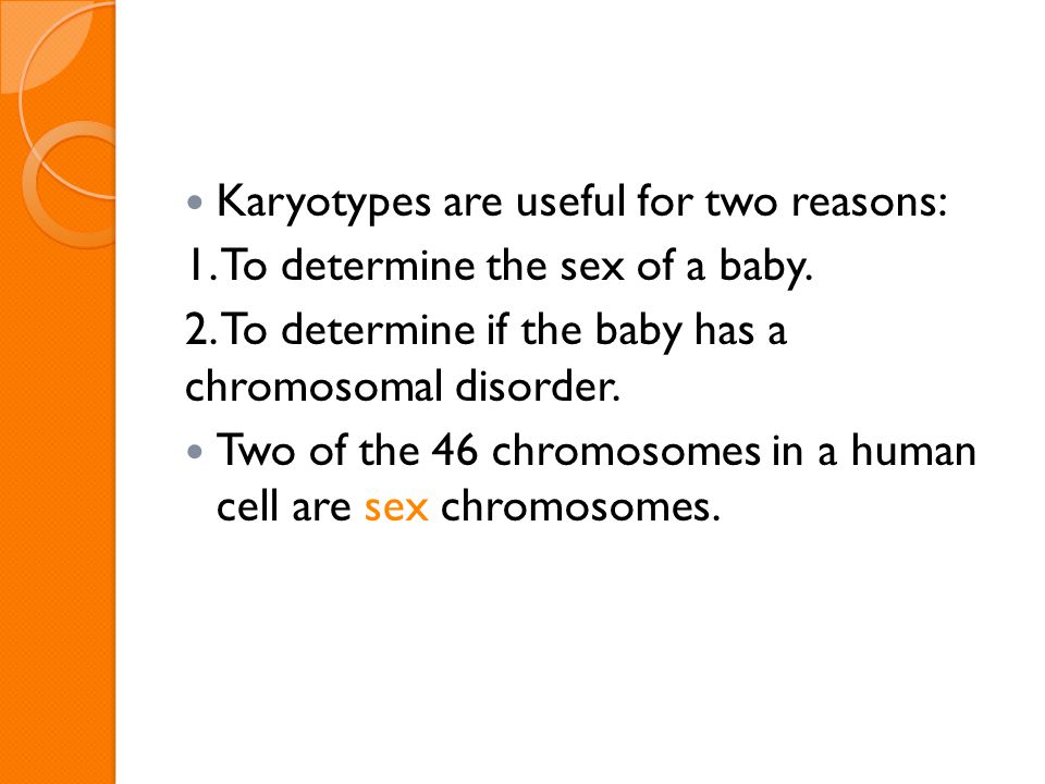 Human Heredity Note Expectations Cell Phones And Electronics 7 Karyotypes