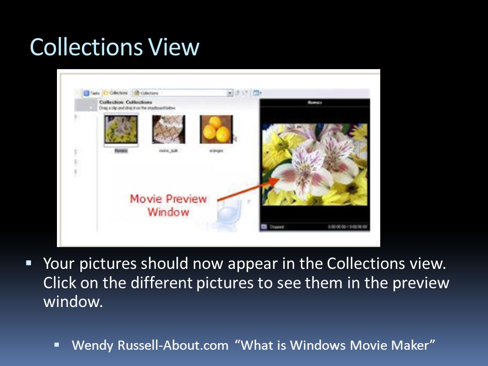Collections View  Your pictures should now appear in the Collections view.