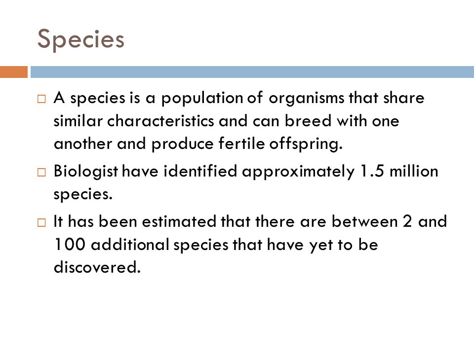 What are the seven taxa in order from largest to smallest?