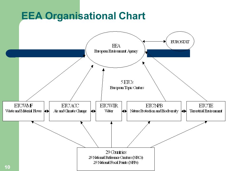 10 EEA Organisational Chart
