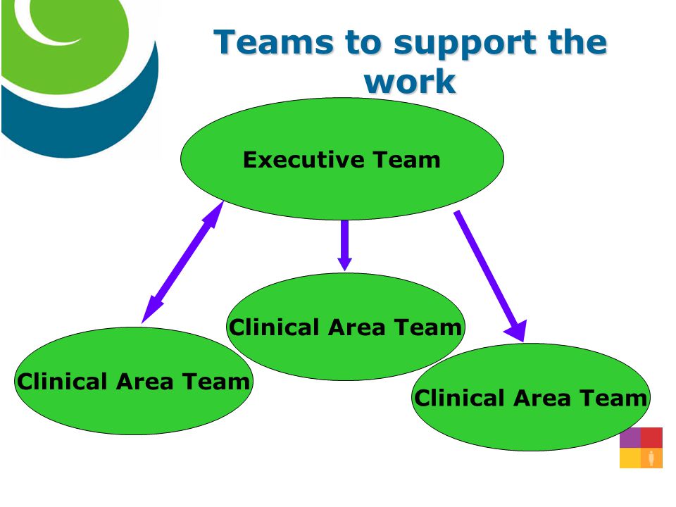 Teams to support the work Executive Team Clinical Area Team