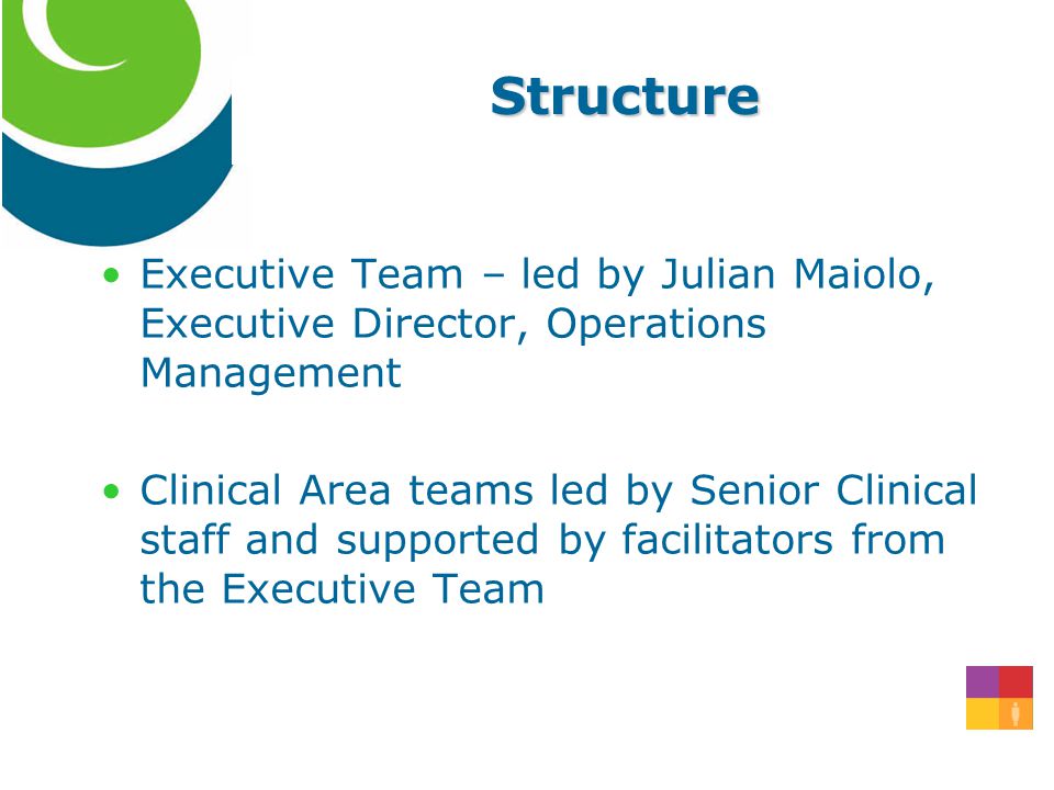 Structure Executive Team – led by Julian Maiolo, Executive Director, Operations Management Clinical Area teams led by Senior Clinical staff and supported by facilitators from the Executive Team