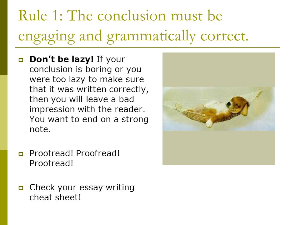 cheat essay