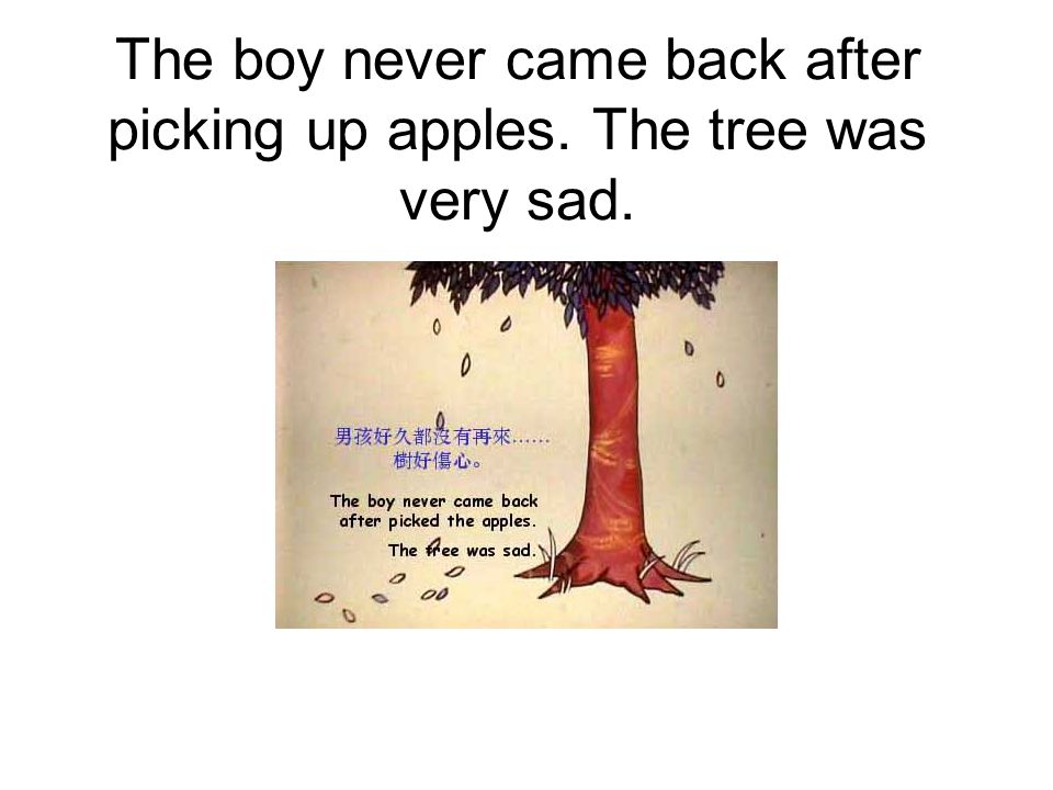 The boy never came back after picking up apples. The tree was very sad.