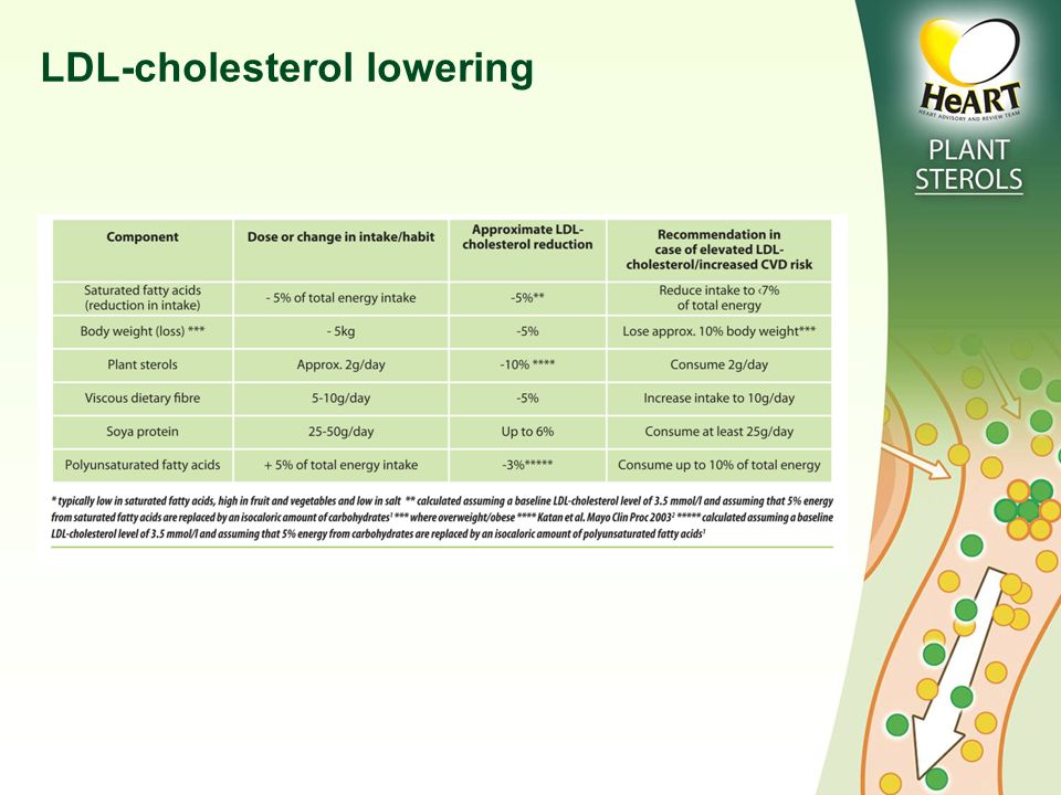 Lose Weight Lower Cholesterol Naturally