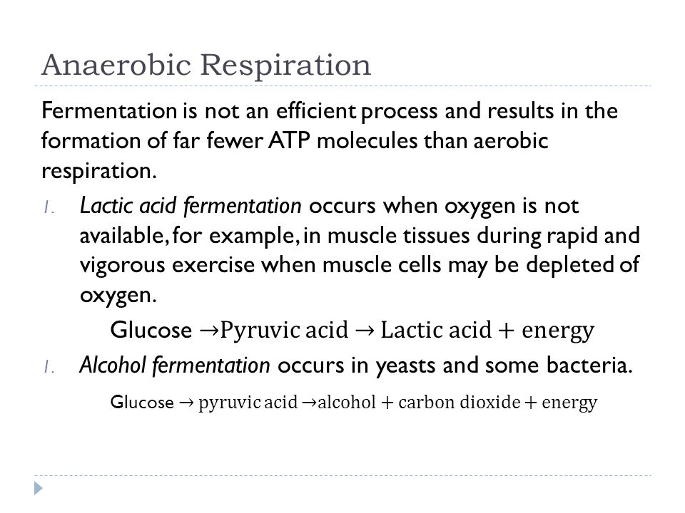 Cellular Respiration B 3 2 The Ultimate Goal 9 Anaerobic Respiration Fermentation