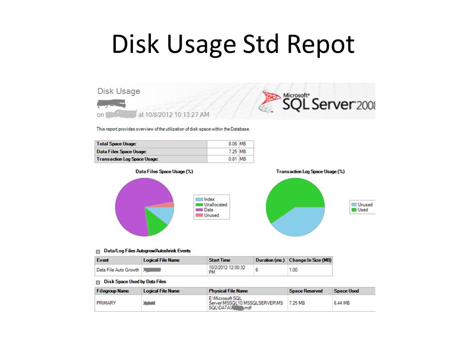 Disk Usage Std Repot
