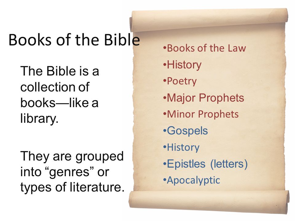 Books of the Bible Books of the Law History Poetry Major Prophets Minor Prophets Gospels History Epistles (letters) Apocalyptic The Bible is a collection of books—like a library.