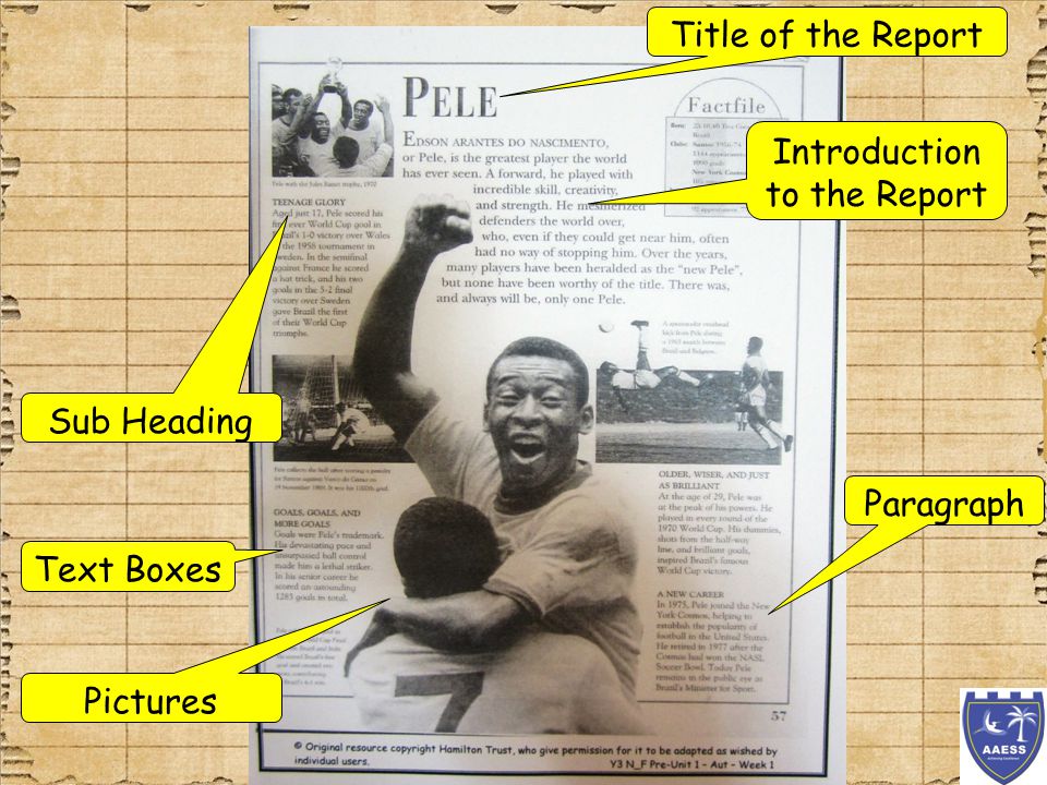 For Example Let’s go back and think about our Pele Report.