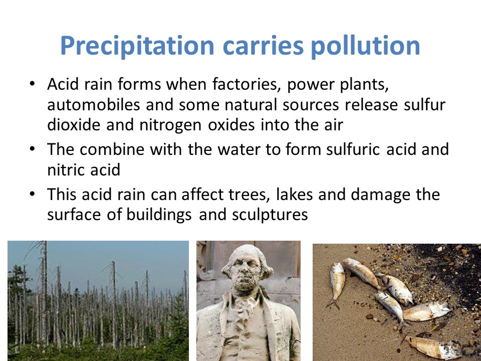 Precipitation carries pollution Acid rain forms when factories, power plants, automobiles and some natural sources release sulfur dioxide and nitrogen oxides into the air The combine with the water to form sulfuric acid and nitric acid This acid rain can affect trees, lakes and damage the surface of buildings and sculptures