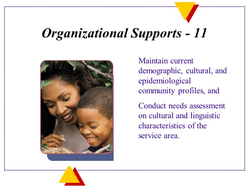 Organizational Supports - 11 Maintain current demographic, cultural, and epidemiological community profiles, and Conduct needs assessment on cultural and linguistic characteristics of the service area.