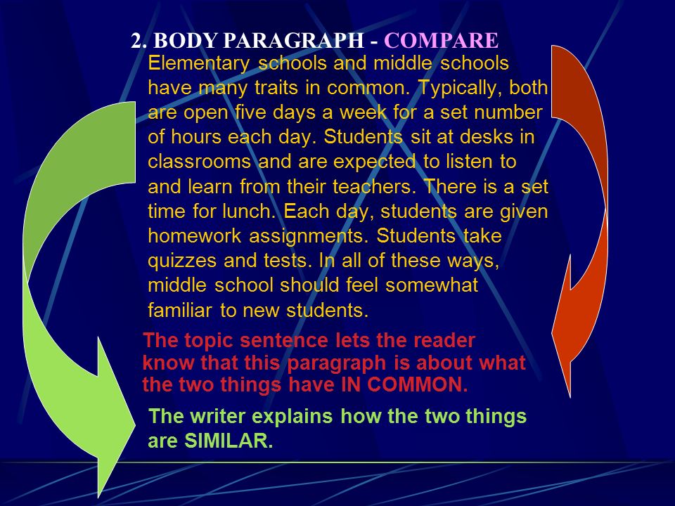 Compare Contrast Essay Examples Middle School