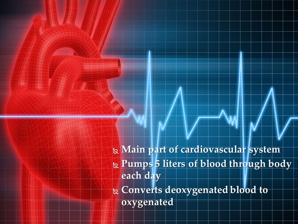  Main part of cardiovascular system  Pumps 5 liters of blood through body each day  Converts deoxygenated blood to oxygenated