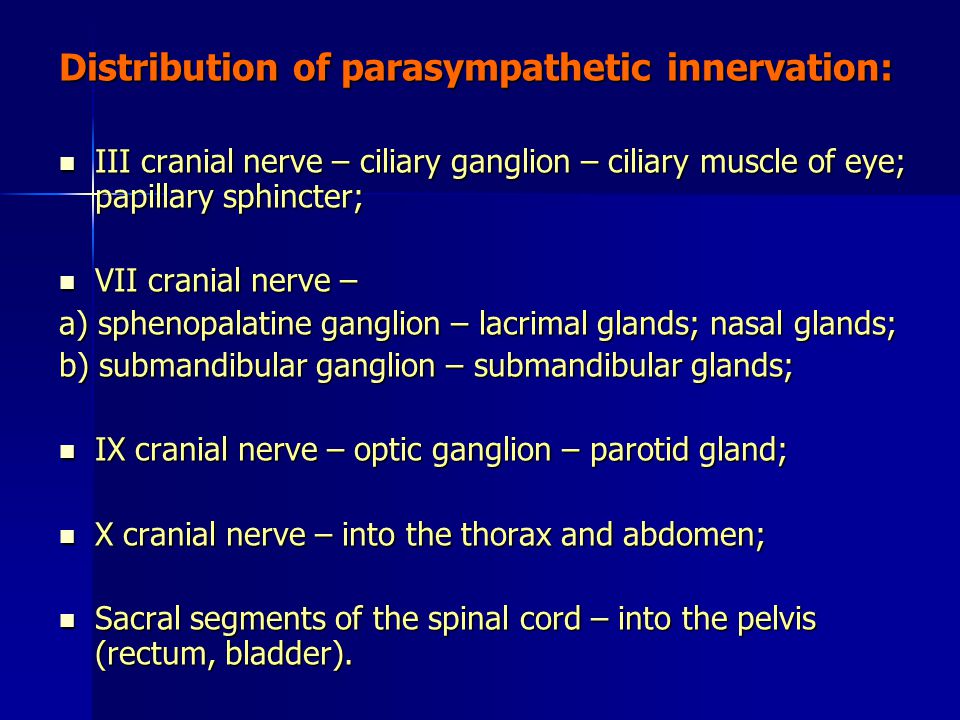 parasympathetic nerve,sciaticnerve distribution of parasympathetic innervation: iii cranial nerve