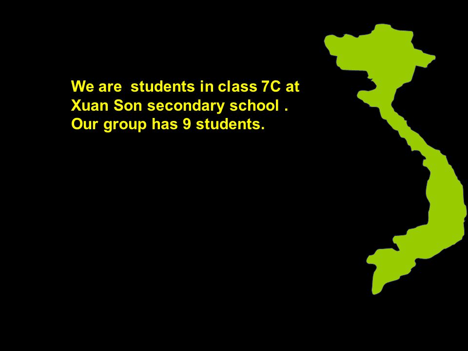 We are students in class 7C at Xuan Son secondary school. Our group has 9 students.