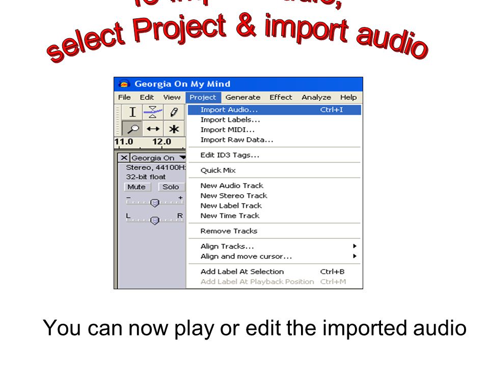 You can now play or edit the imported audio
