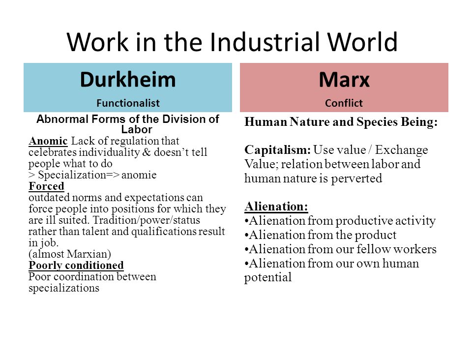 describe functionalist emile durkheim conflict marxist and Three major perspectives in sociology sociologists analyze social phenomena at different levels and from different perspectives from concrete interpretations to. describe functionalist emile durkheim conflict marxist and Three major perspectives in sociology sociologists analyze social phenomena at different levels and from different perspectives from concrete interpretations to.