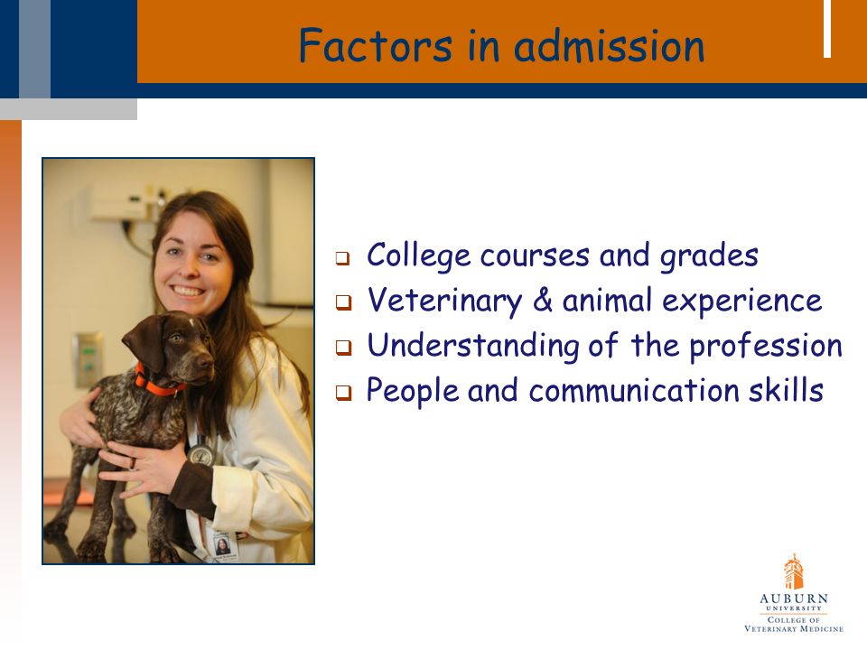 Factors in admission  College courses and grades  Veterinary & animal experience  Understanding of the profession  People and communication skills