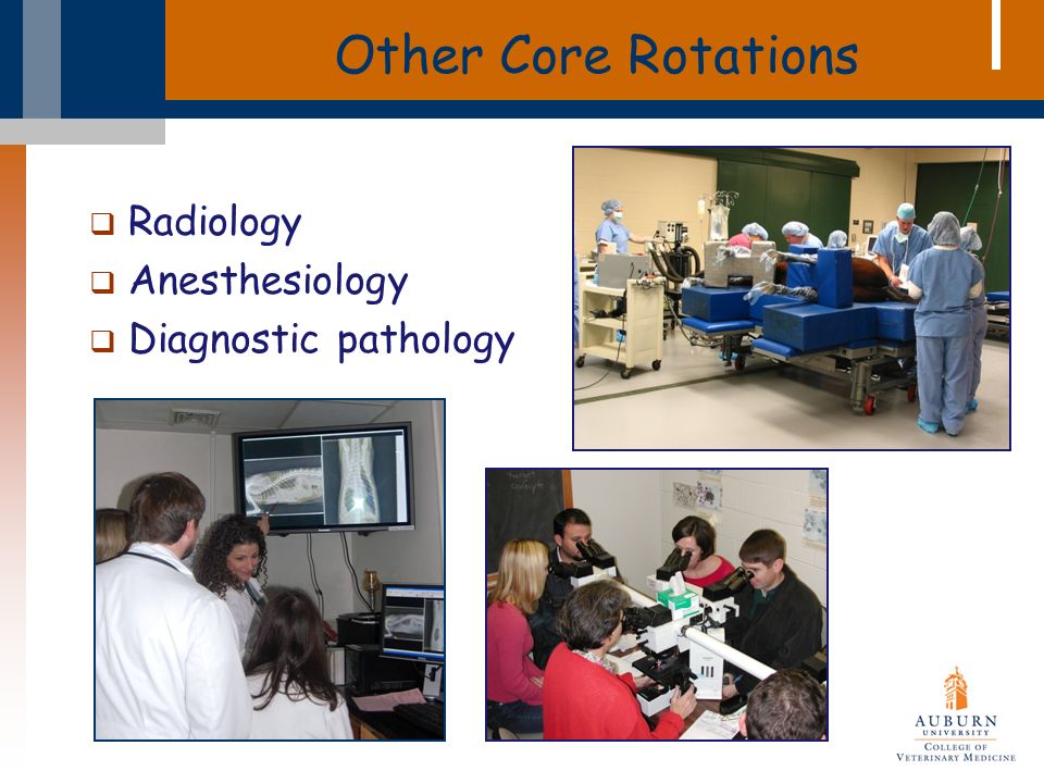 Other Core Rotations  Radiology  Anesthesiology  Diagnostic pathology