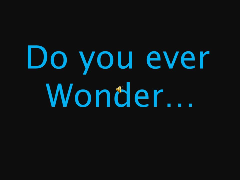 Do you ever Wonder…