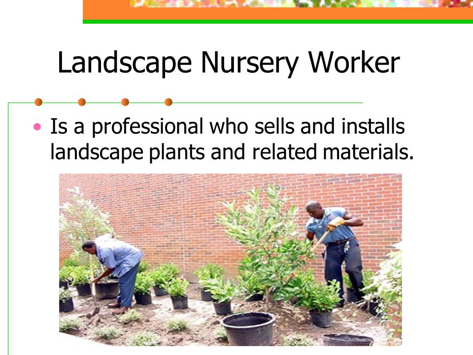 Landscape Nursery Worker Is a professional who sells and installs landscape plants and related materials.