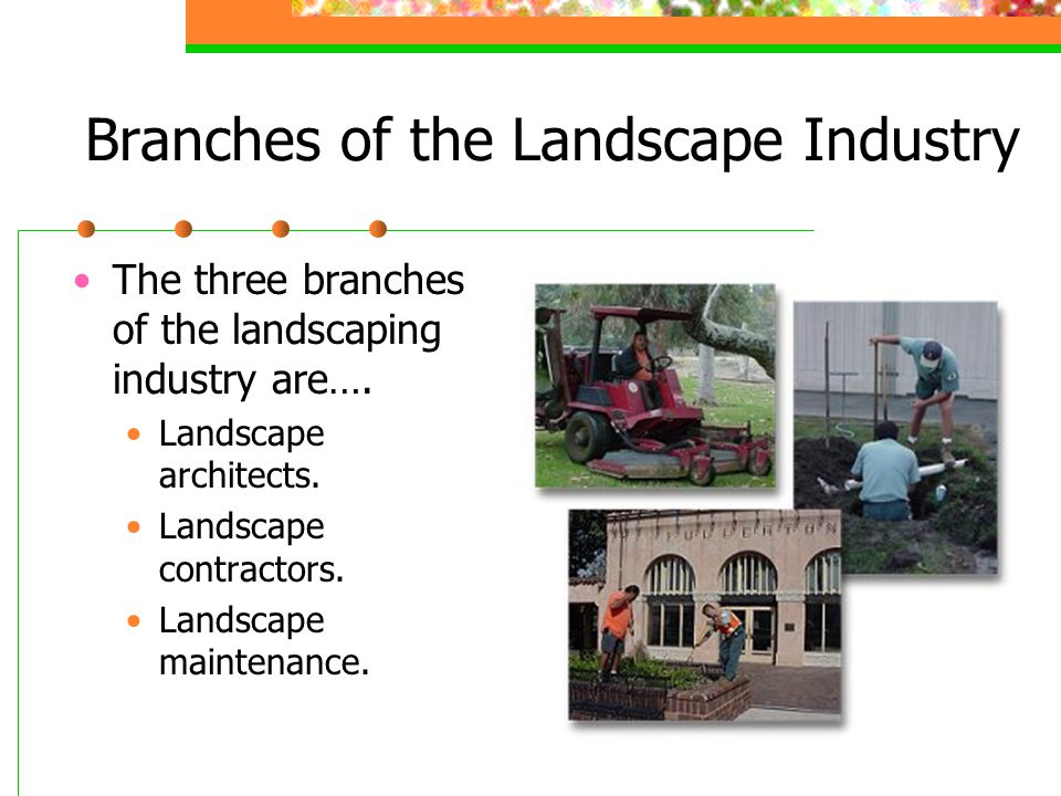 Branches of the Landscape Industry The three branches of the landscaping industry are….