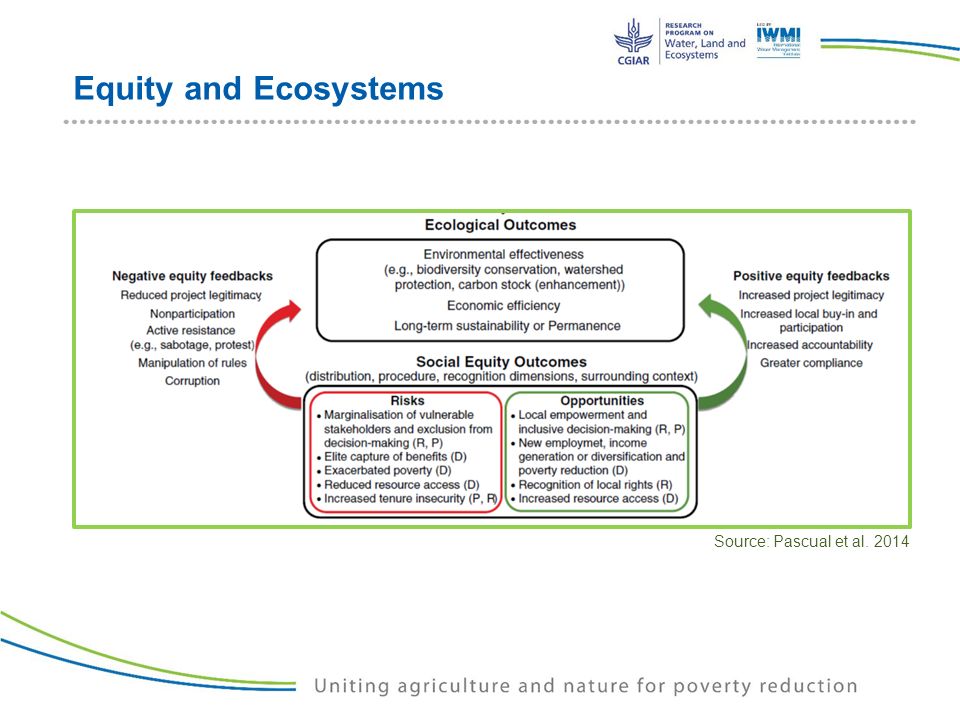 Equity and Ecosystems Source: Pascual et al. 2014