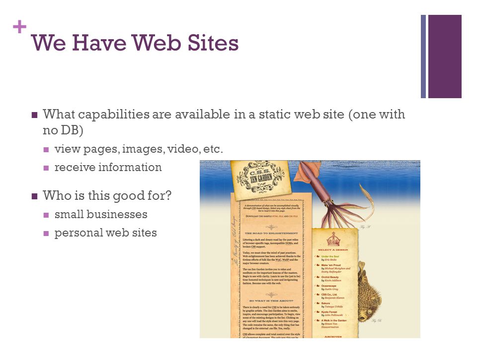 + We Have Web Sites What capabilities are available in a static web site (one with no DB) view pages, images, video, etc.