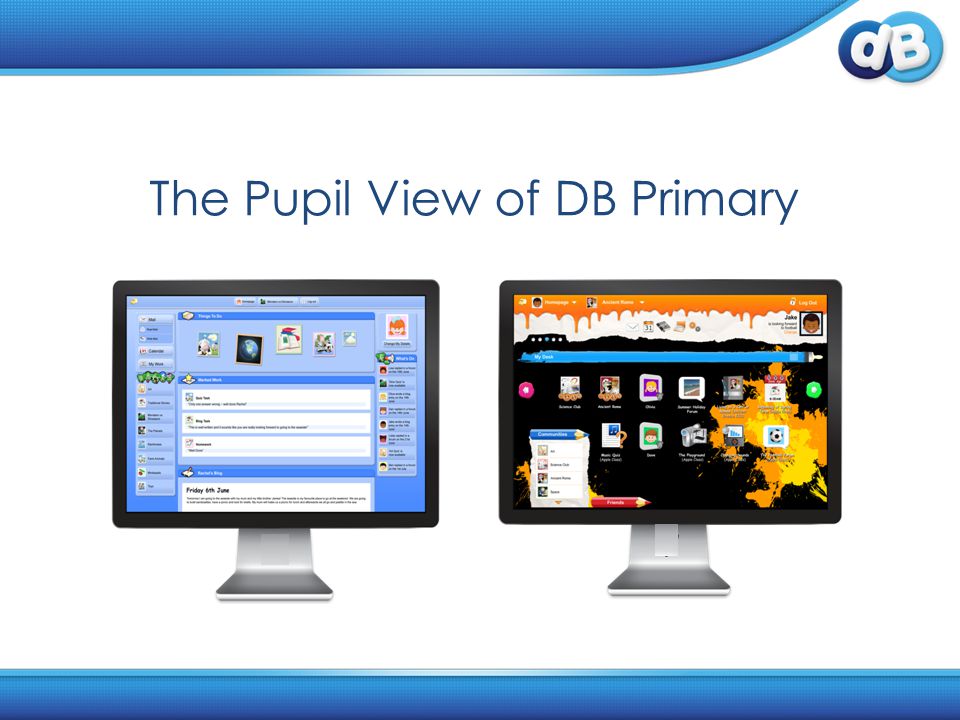 The Pupil View of DB Primary