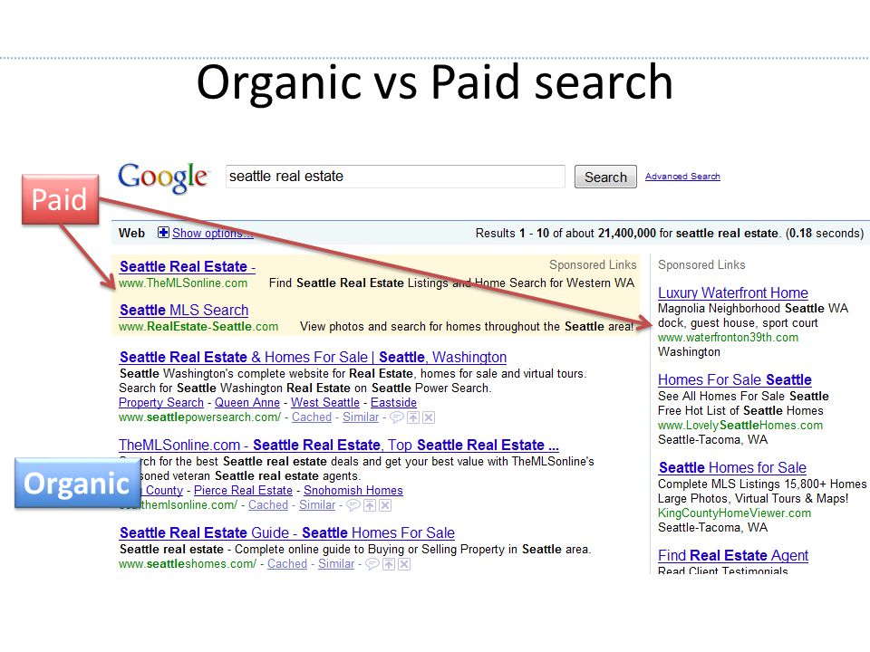 Paid Organic Organic vs Paid search