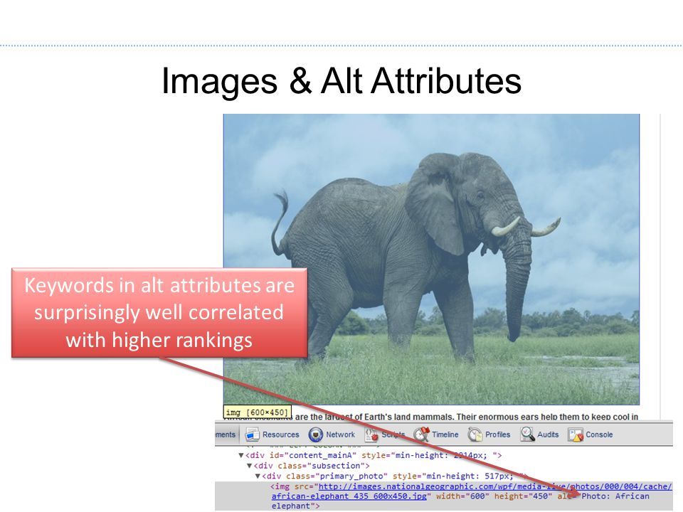Images & Alt Attributes   Keywords in alt attributes are surprisingly well correlated with higher rankings
