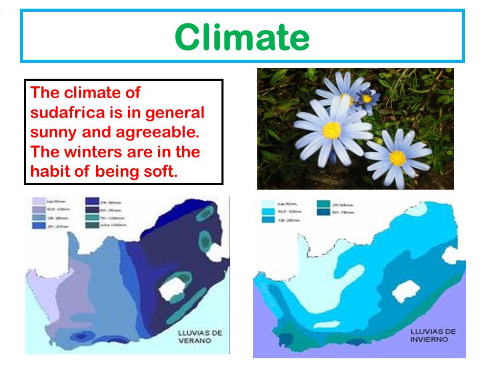 Climate The climate of sudafrica is in general sunny and agreeable.