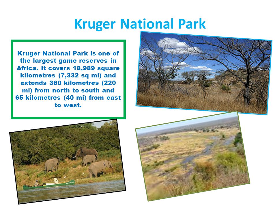 Kruger National Park Kruger National Park is one of the largest game reserves in Africa.