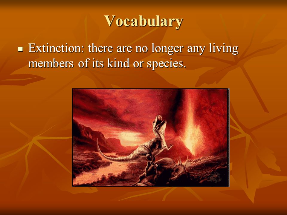 Essay On Extinction Of Species