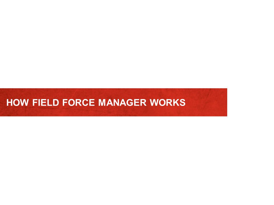 HOW FIELD FORCE MANAGER WORKS