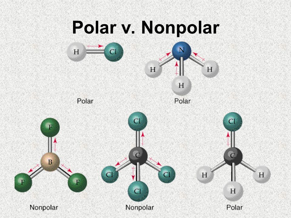 Polar v. Nonpolar