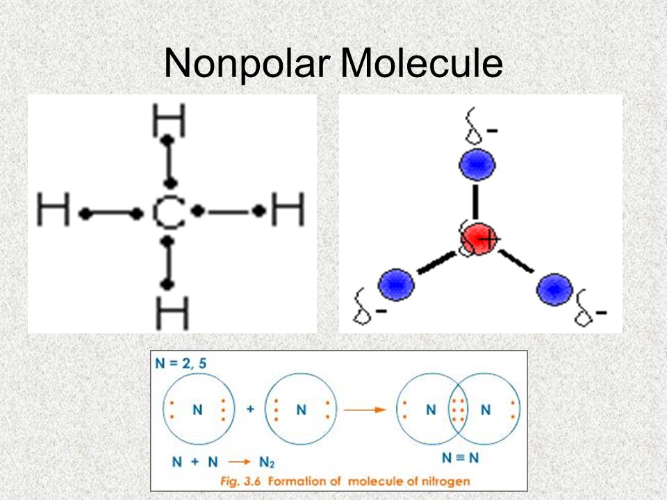 Nonpolar Molecule