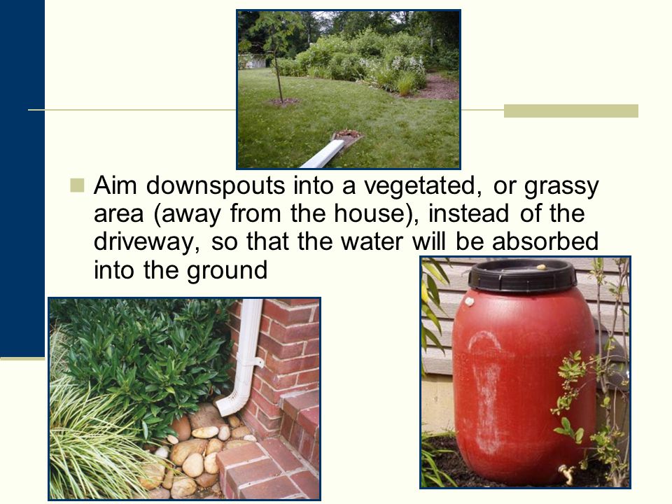 Aim downspouts into a vegetated, or grassy area (away from the house), instead of the driveway, so that the water will be absorbed into the ground
