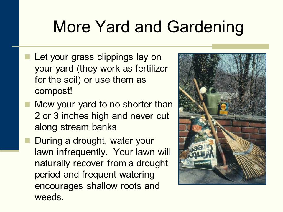 More Yard and Gardening Let your grass clippings lay on your yard (they work as fertilizer for the soil) or use them as compost.