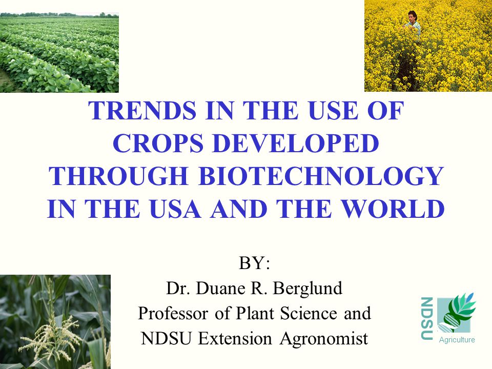 NDSU Agriculture TRENDS IN THE USE OF CROPS DEVELOPED THROUGH BIOTECHNOLOGY IN THE USA AND THE WORLD BY: Dr.