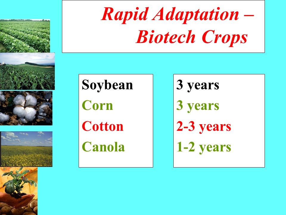 Rapid Adaptation – Biotech Crops Soybean Corn Cotton Canola 3 years 2-3 years 1-2 years