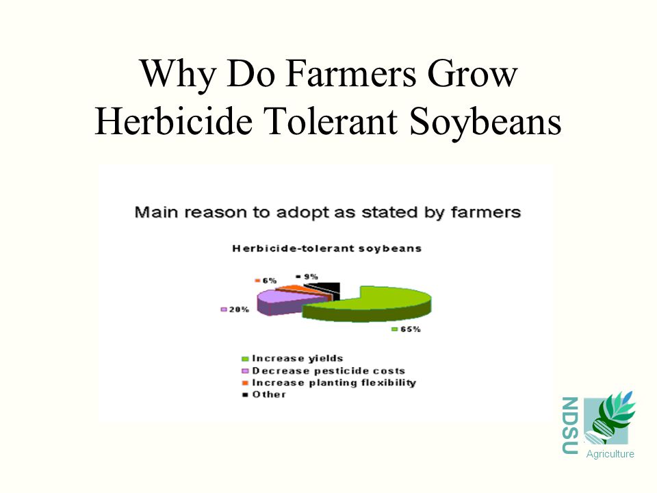NDSU Agriculture Why Do Farmers Grow Herbicide Tolerant Soybeans