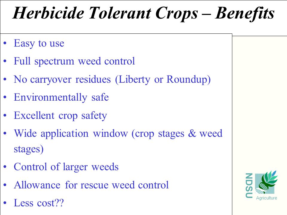 NDSU Agriculture Herbicide Tolerant Crops – Benefits Easy to use Full spectrum weed control No carryover residues (Liberty or Roundup) Environmentally safe Excellent crop safety Wide application window (crop stages & weed stages) Control of larger weeds Allowance for rescue weed control Less cost
