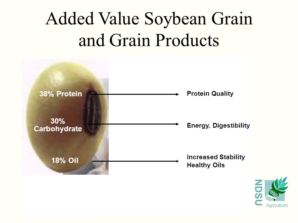 NDSU Agriculture Added Value Soybean Grain and Grain Products Protein Quality Energy, Digestibility Increased Stability Healthy Oils 38% Protein 30% Carbohydrate 18% Oil