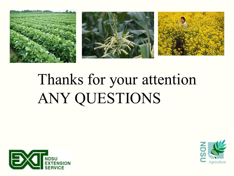 NDSU Agriculture Thanks for your attention ANY QUESTIONS