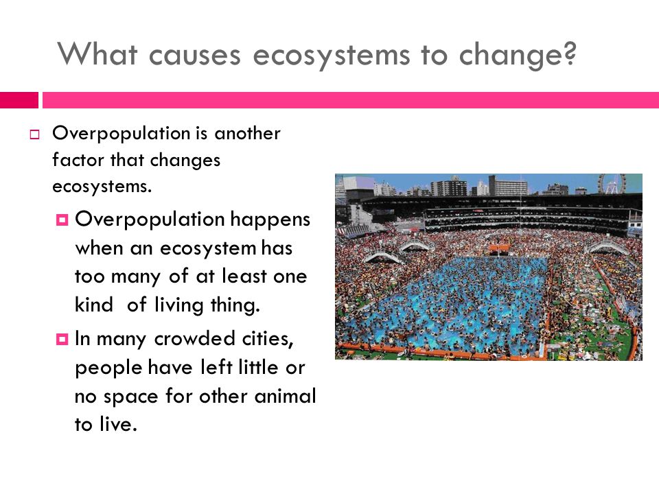 What causes ecosystems to change.  Overpopulation is another factor that changes ecosystems.