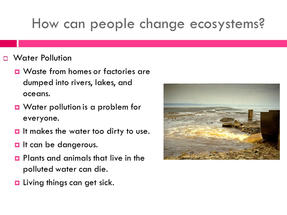 How can people change ecosystems.